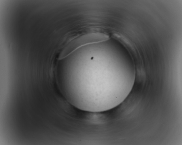 X0000092080379200710031141