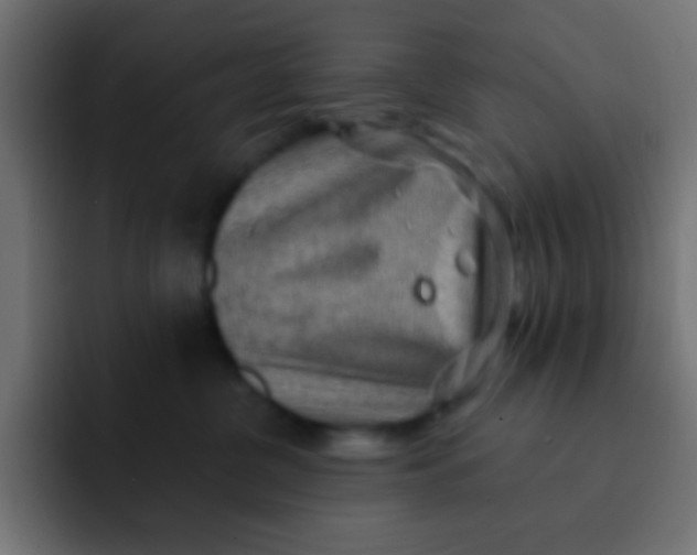 X0000092080380200710031141