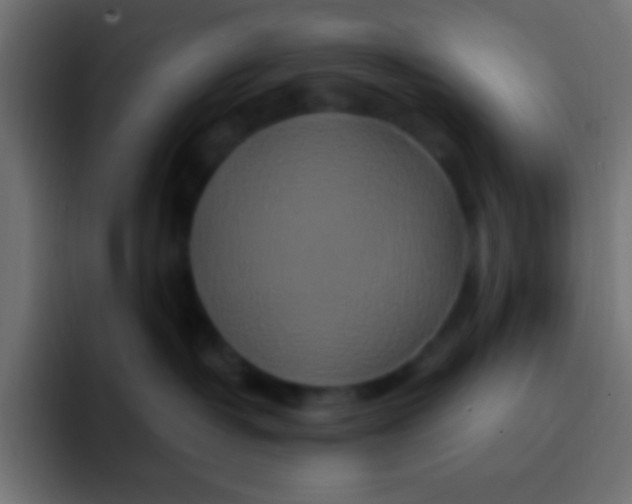 X0000092080382200710031141