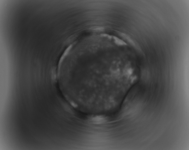 X0000092080383200710031141