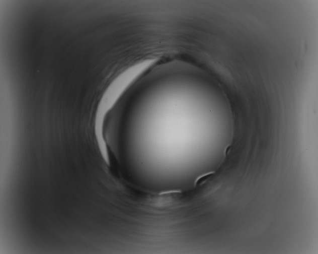 X0000092080384200710031141