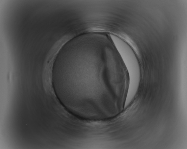 X0000092080385200710031140