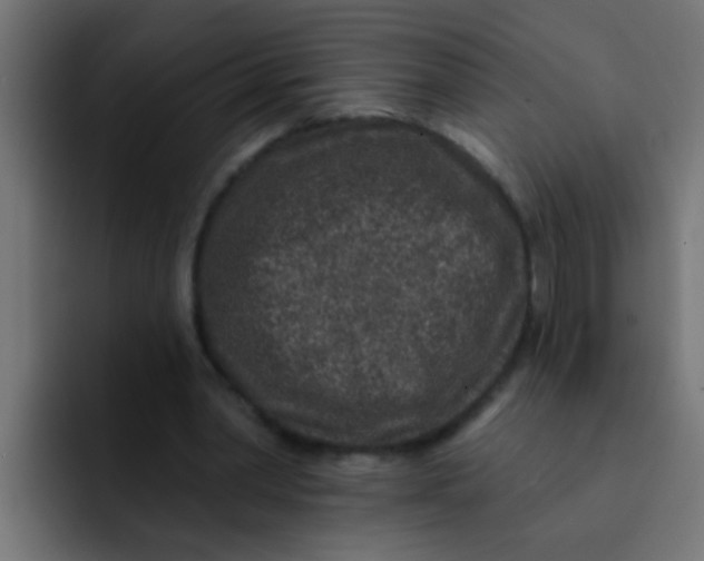 X0000092080390200710031140