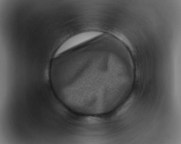 X0000092080393200710031140