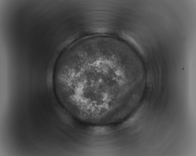 X0000092080394200710031140