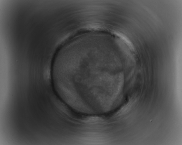 X0000092080399200710031140