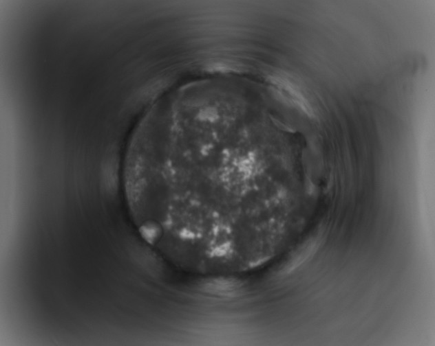 X0000092080402200710031140