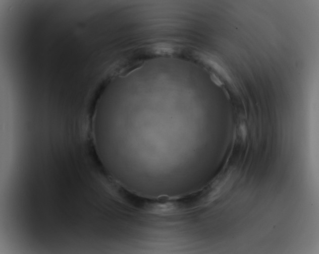 X0000092080411200710031140