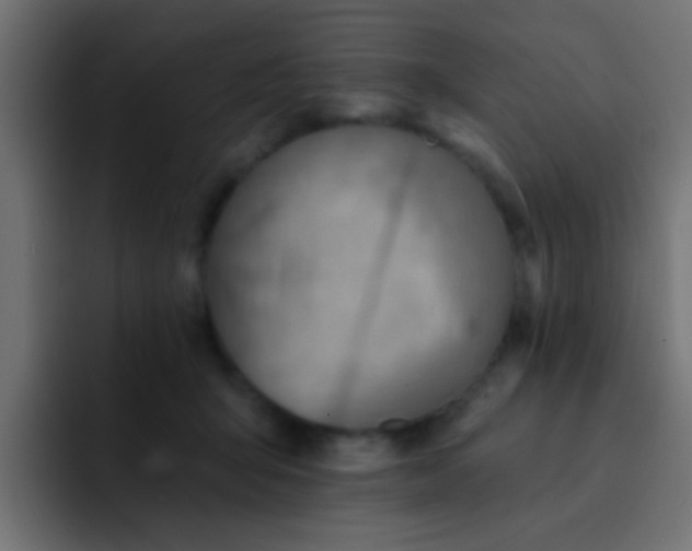 X0000092080415200710031140