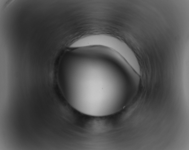 X0000092080416200710031140