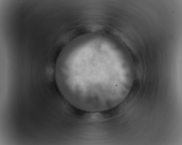 X0000092080427200710031140