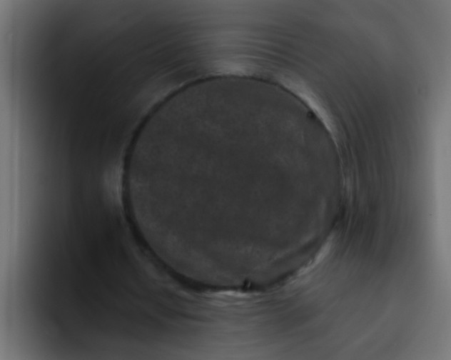 X0000092080434200710031139