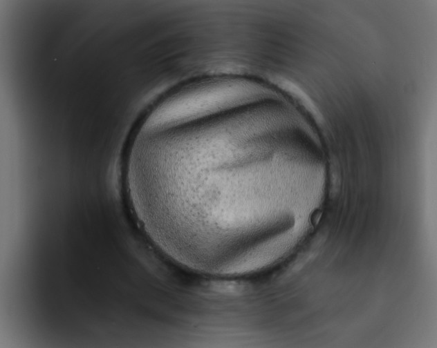 X0000092080439200710031139