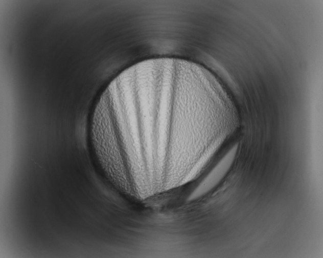 X0000092080442200710031139