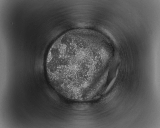 X0000092080443200710031139