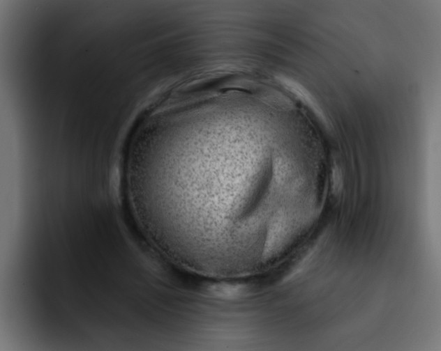 X0000092080444200710031139