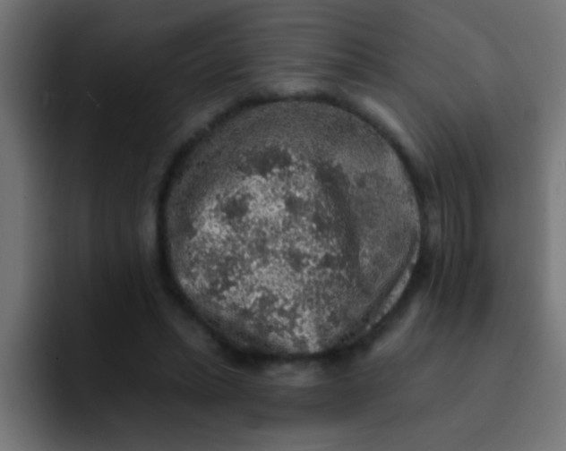 X0000092080447200710031139