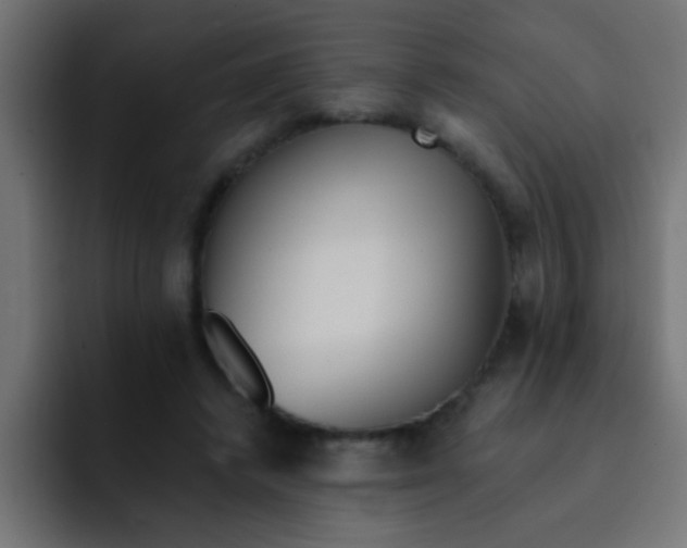 X0000092080448200710031139