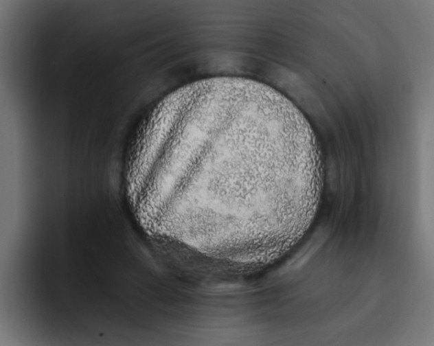 X0000092080449200710031139