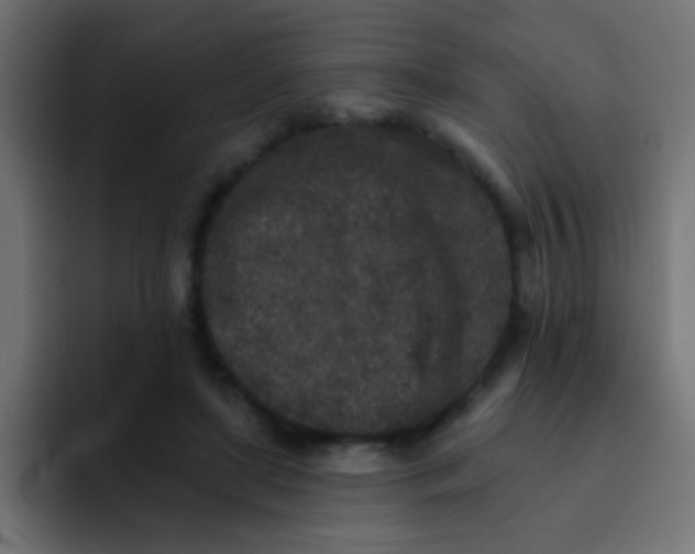 X0000092080451200710031139