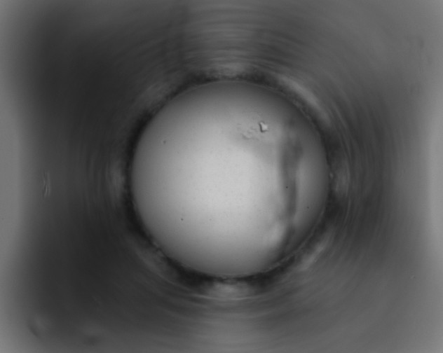 X0000092080455200710031139