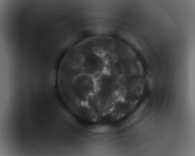 X0000092080458200710031139