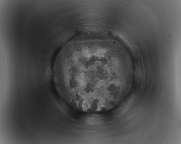 X0000092080459200710031139