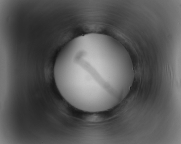 X0000092080460200710031139