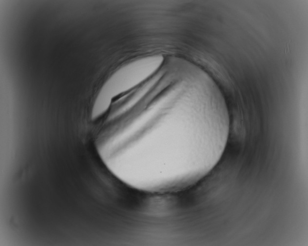 X0000092080461200710031139