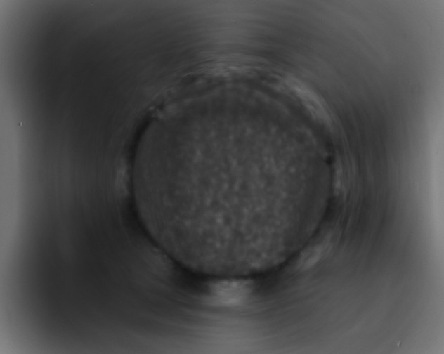 X0000092080465200710031139