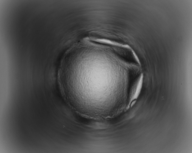 X0000092080466200710031139