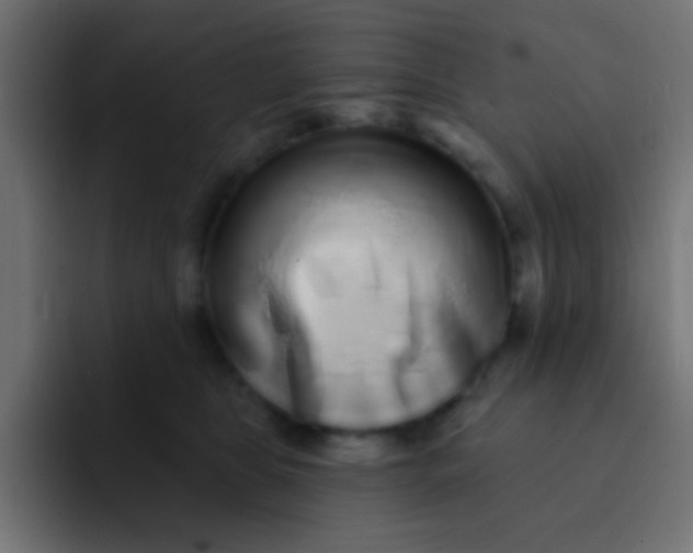 X0000092080469200710031139