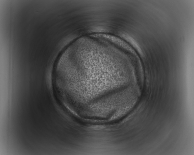 X0000092080482200710031139