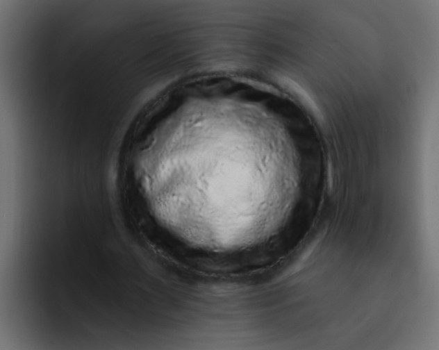 X0000092080483200710031139