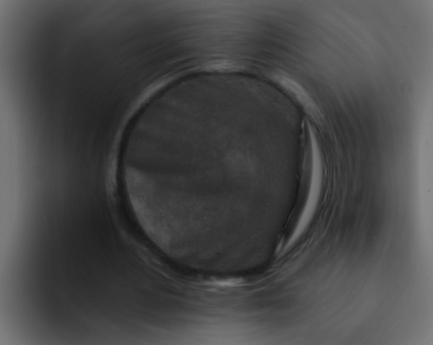 X0000092080484200710031139