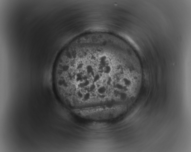 X0000092080487200710031139