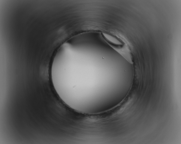 X0000092080489200710031139