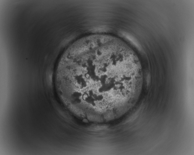 X0000092080491200710031139