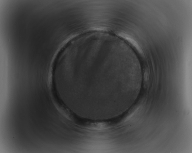 X0000092080492200710031139