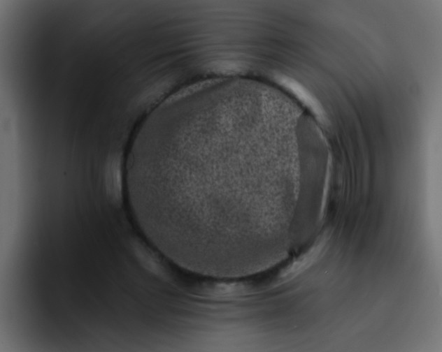 X0000092080493200710031139