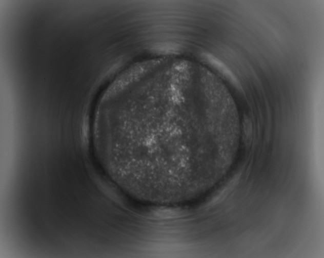 X0000092080494200710031139