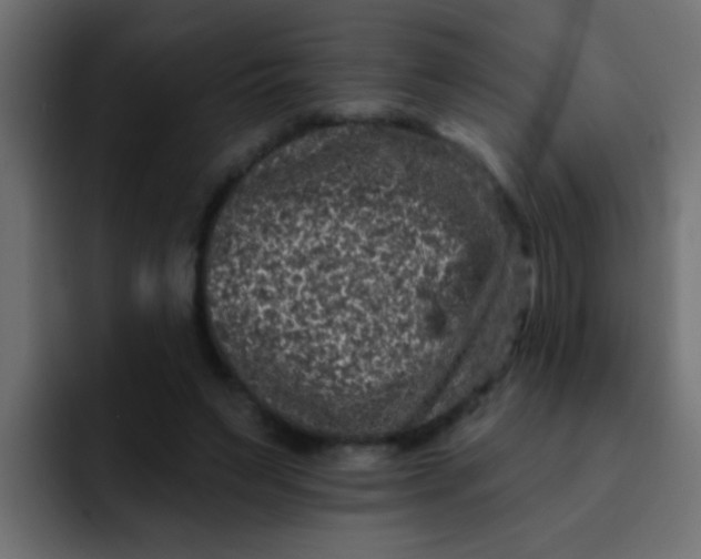 X0000092080495200710031139