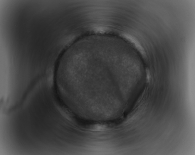 X0000092080496200710031139