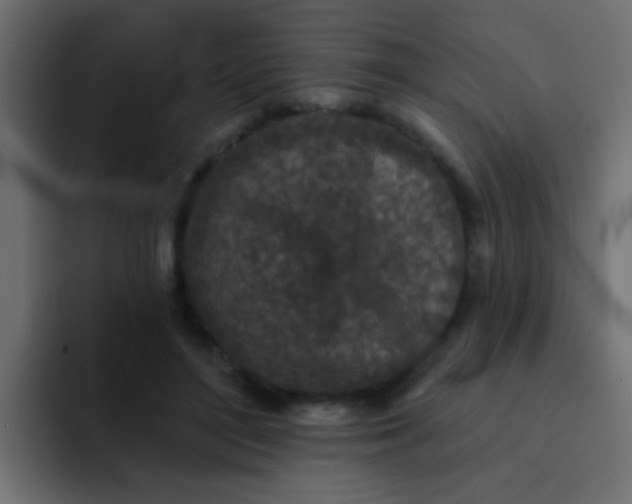 X0000092080500200710031139