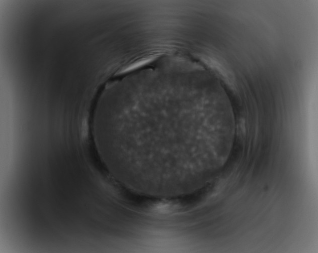 X0000092080504200710031139