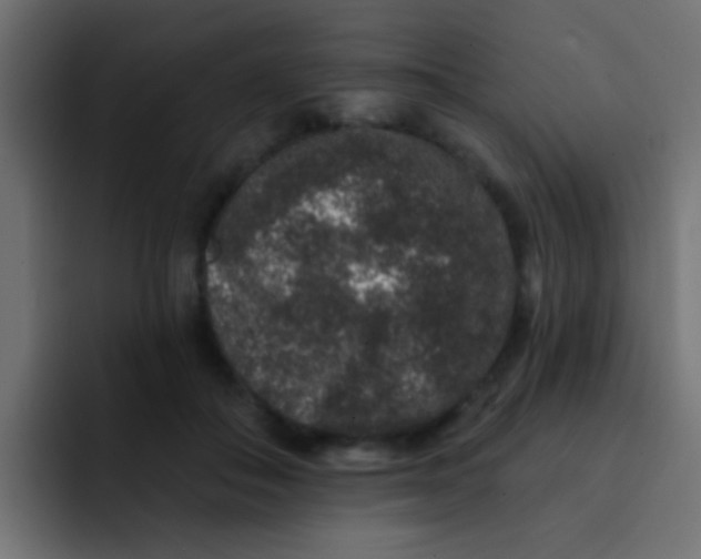 X0000092080506200710031139