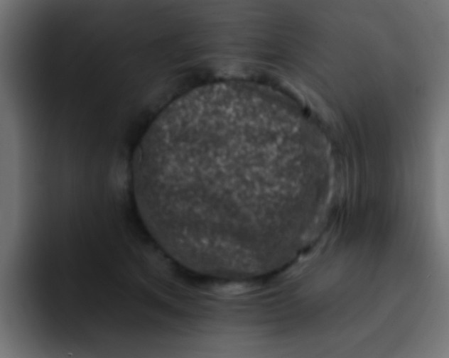 X0000092080513200710031139