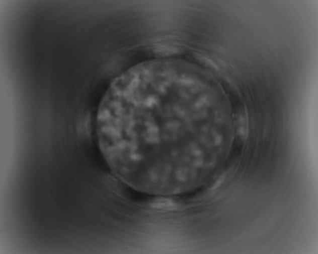 X0000092080519200710031139