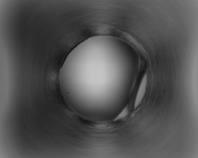 X0000092080521200710031139