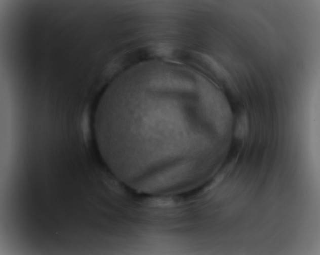 X0000092080524200710031138